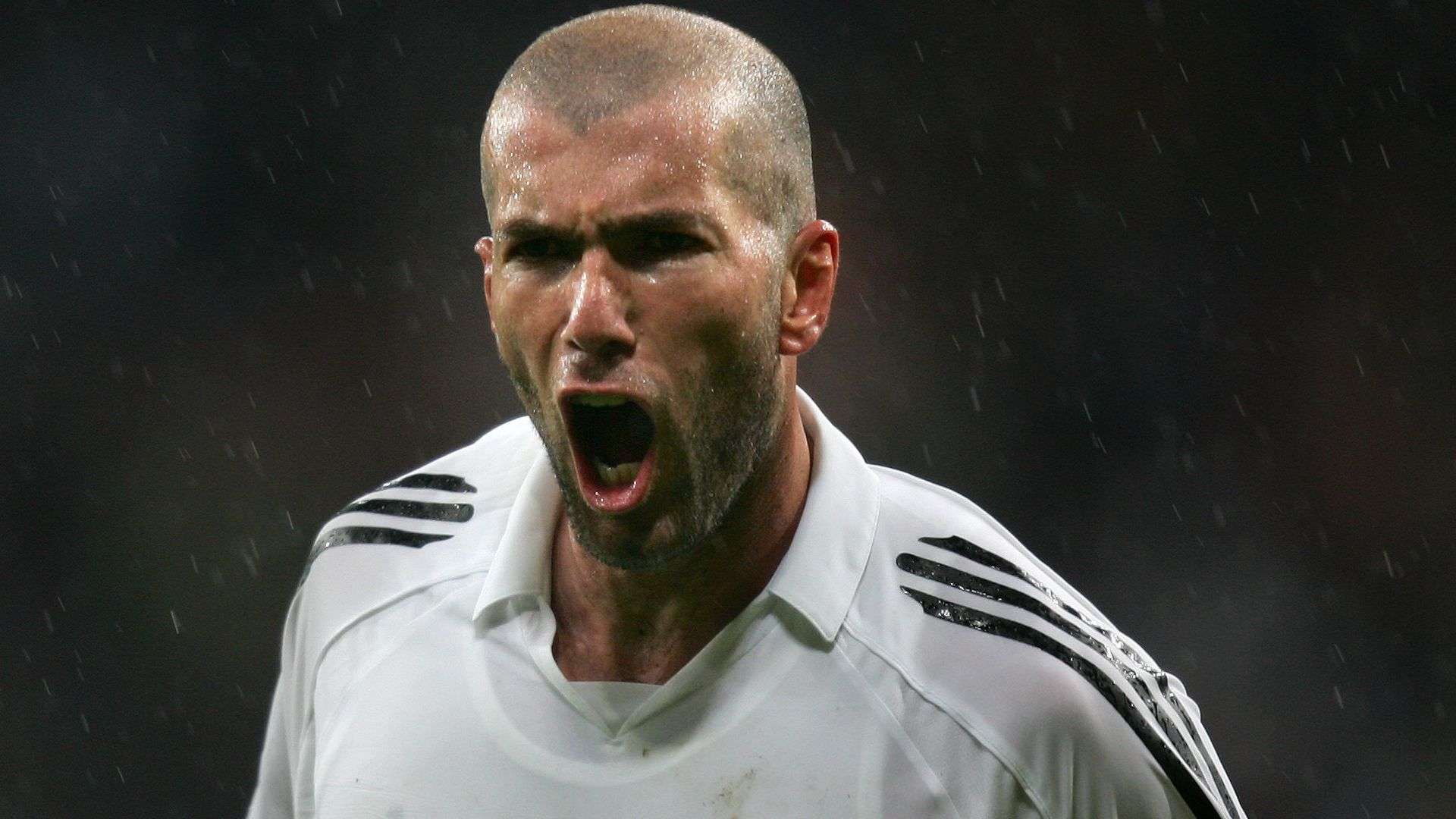 为快船队的 为快船队的